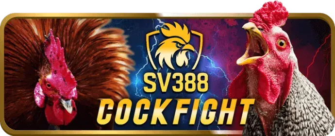 Hệ thống bảo mật tối ưu của Kingbet