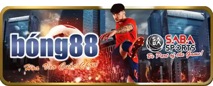 Dịch vụ hỗ trợ khách hàng 24/7 của Kingbet
